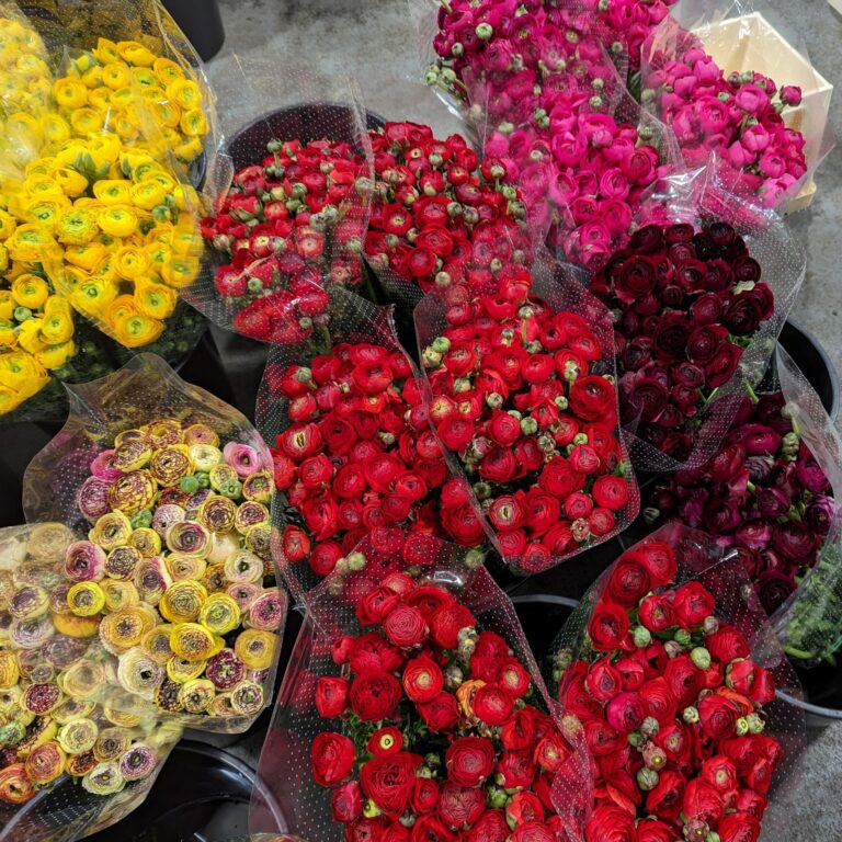 Elementor #12187 Zaliwana Accessories