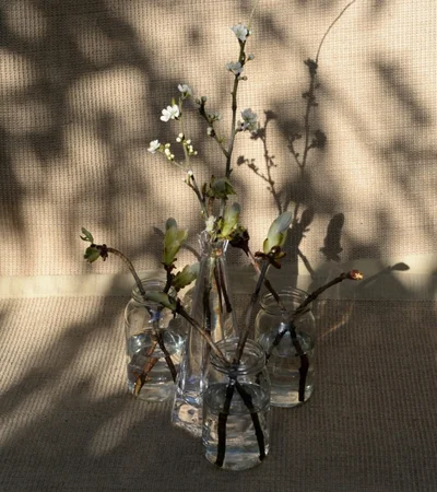 Home Zaliwana Accessories