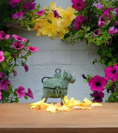 Home Zaliwana Accessories