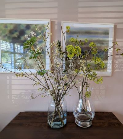 How to Transform Your Living Room with Zaliwana Accessories? Zaliwana Accessories